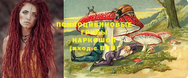 хмурый Козловка