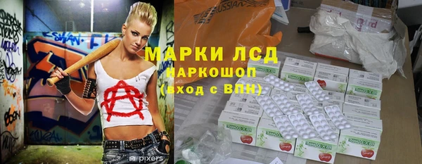 хмурый Козловка