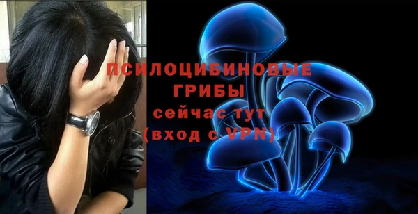 jwh Козельск